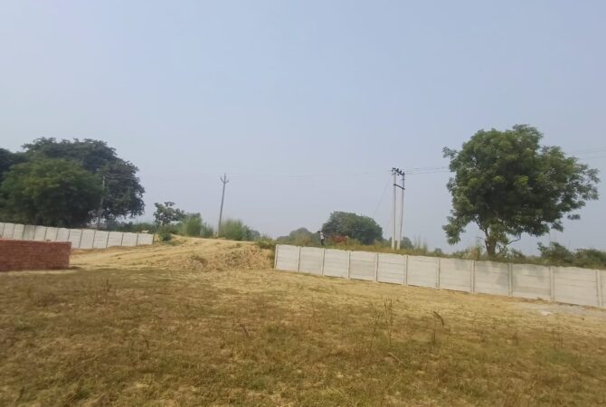 WhatsApp Image 2024-11-04 at 12.37.54 (1)