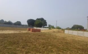 WhatsApp Image 2024-11-04 at 12.37.55