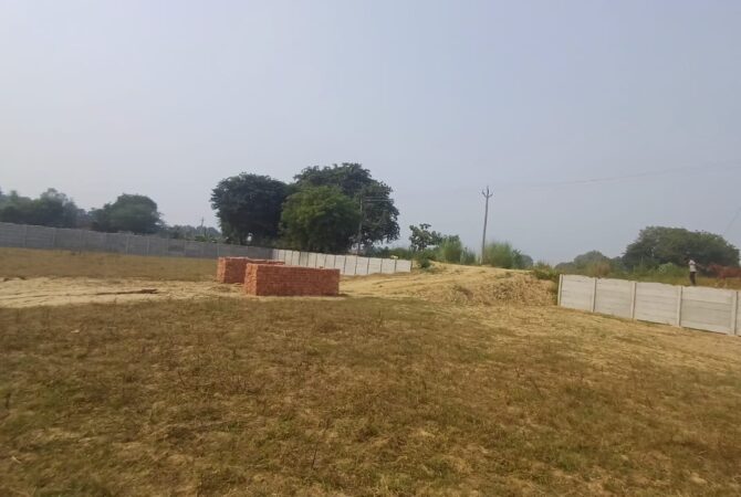 WhatsApp Image 2024-11-04 at 12.37.55